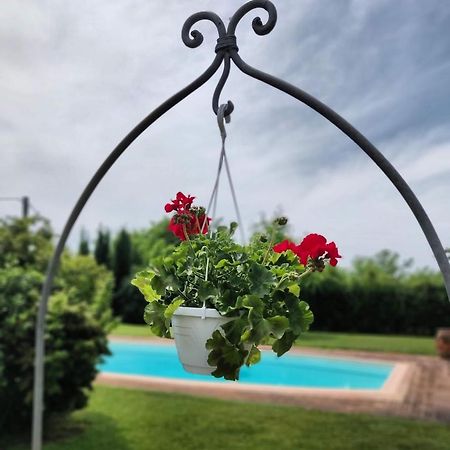 B&B Il Casolare Di Bonci 산타마리아아몬테 외부 사진
