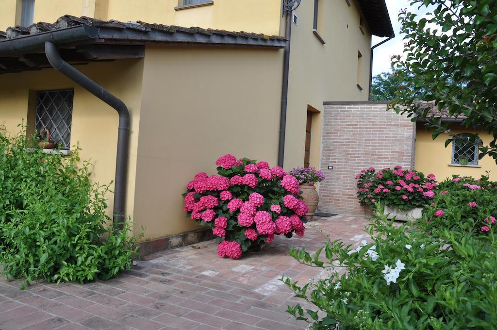 B&B Il Casolare Di Bonci 산타마리아아몬테 외부 사진